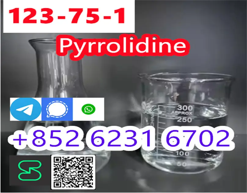 legit Supplier Pyrrolidine N Methyl Pyrrolidine CAS 123-75-1 for Medic Foto 7276296-2.jpg