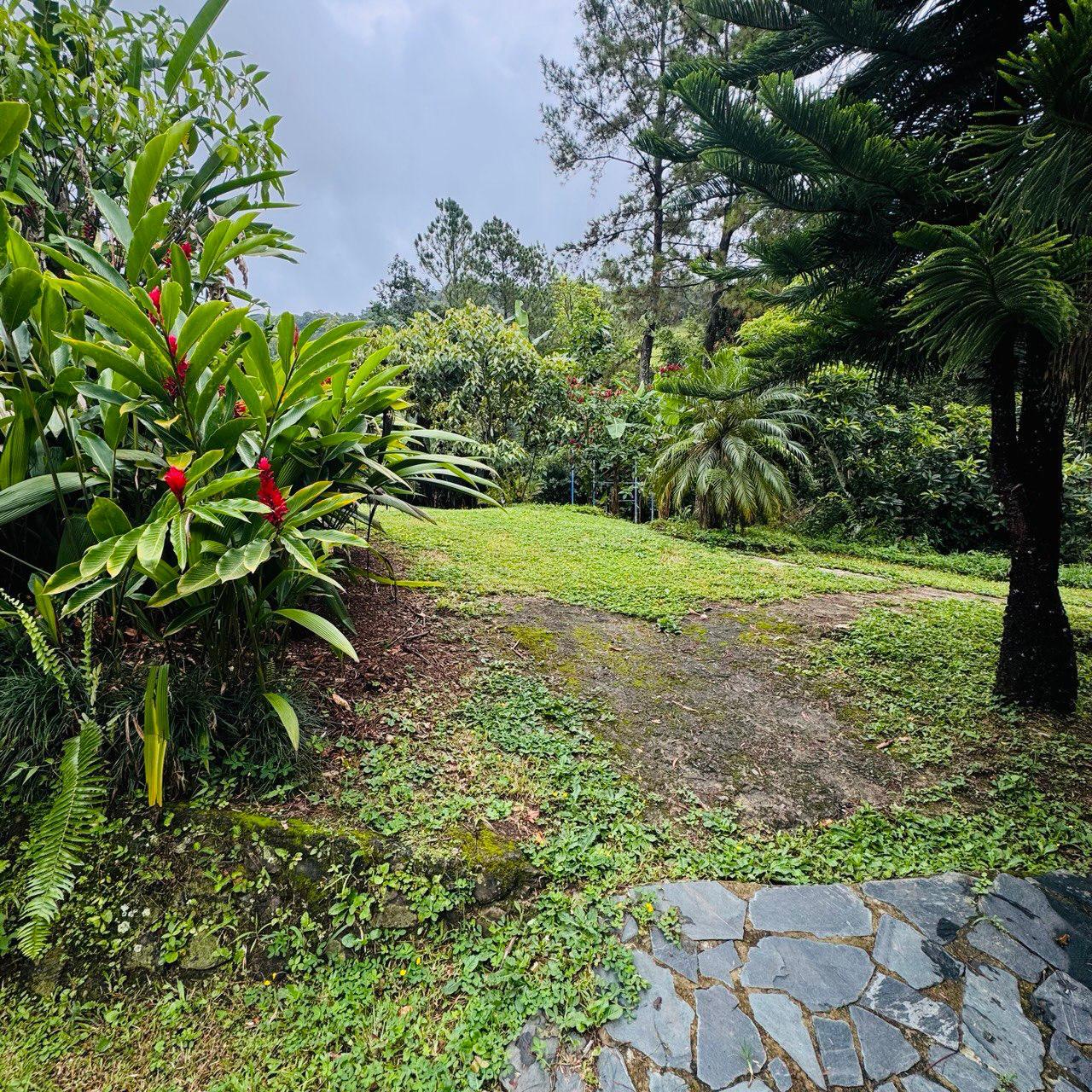 Vendo VILLA ECOLÓGICA en Bonao  Foto 7276395-12.jpg