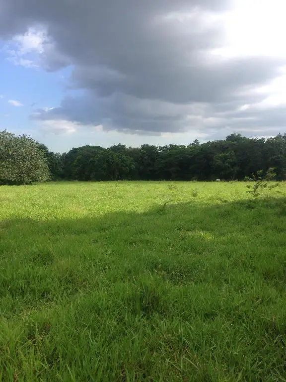 Vendo finca de 2700 tareas de oportunidad en Bayaguana Foto 7277044-3.jpg
