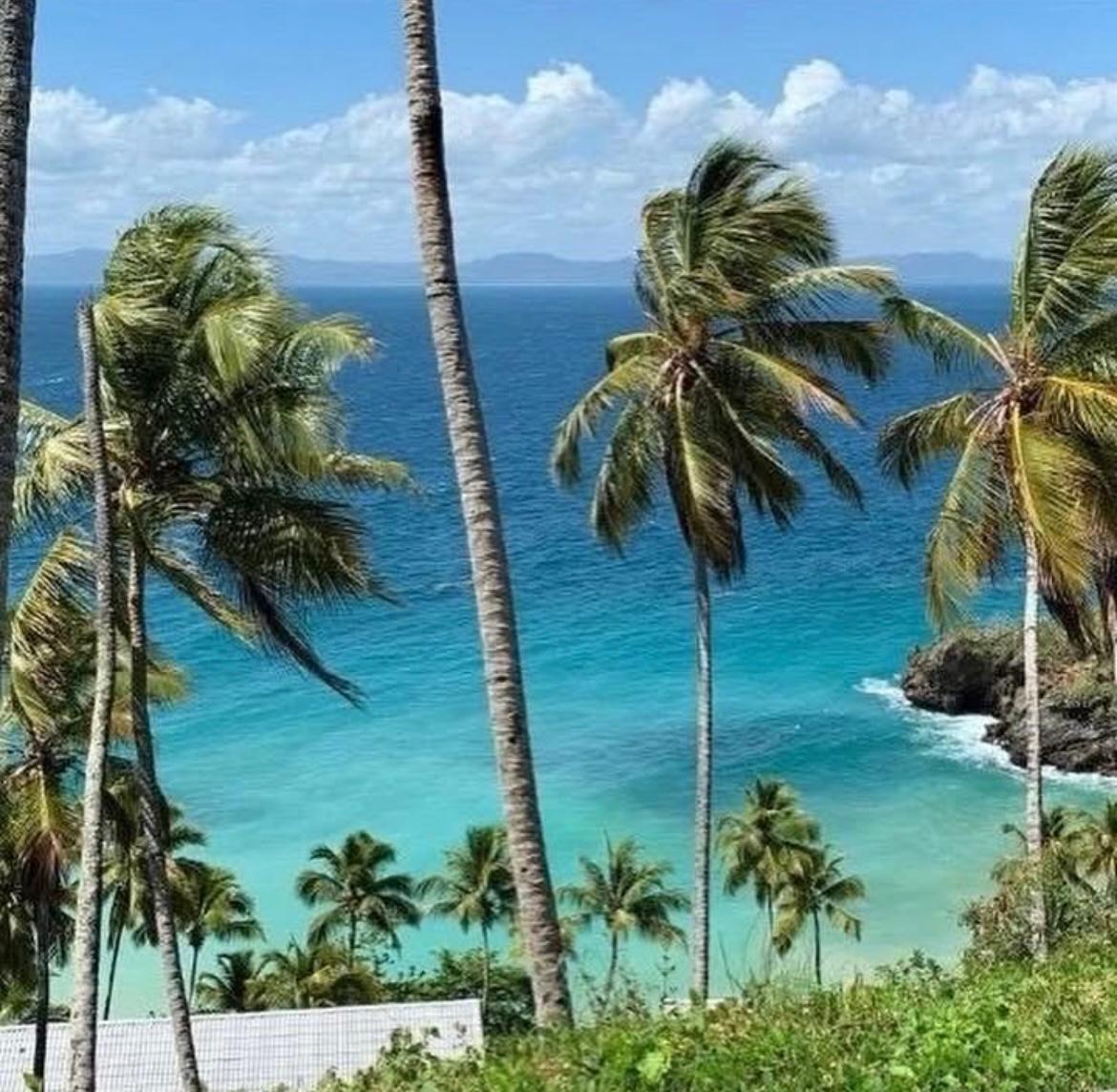 APARTAMENTO FRENTE AL MAR  CONDOMINIO VISTA MARE SAMANA Foto 7277789-3.jpg