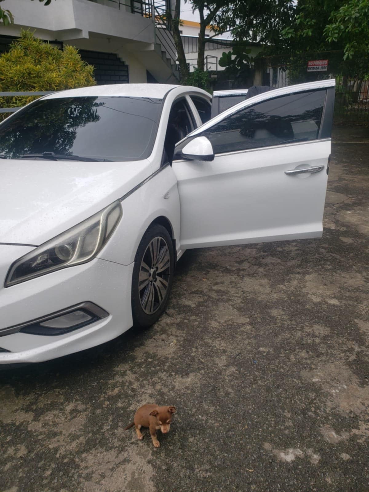 Hyundai Sonata LF 2016 blanco original Foto 7278433-7.jpg