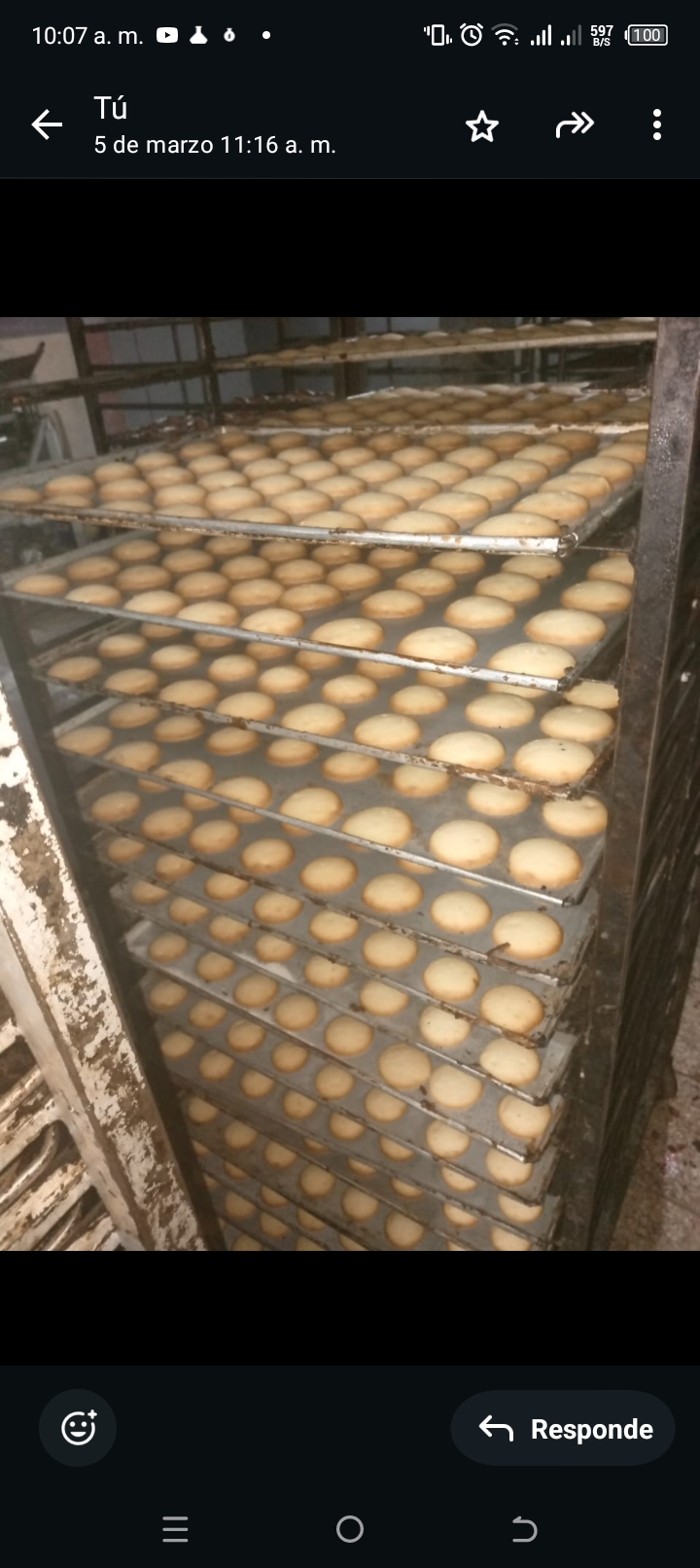 Recetas i asesoría de venta dulce para repostería  Foto 7278520-8.jpg