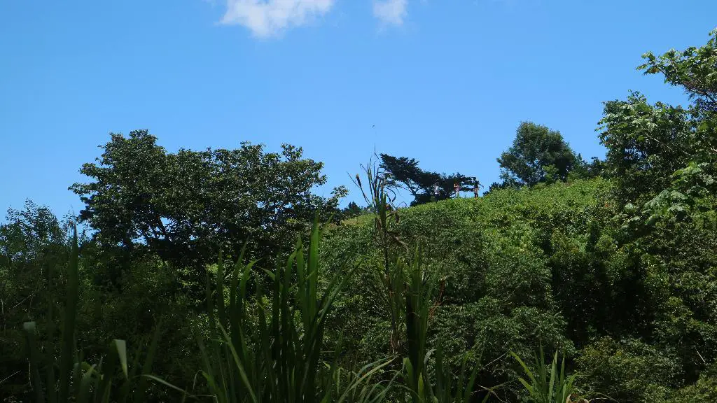 Proyecto Urbanístico en Venta en Jarabacoa Foto 7278552-14.jpg