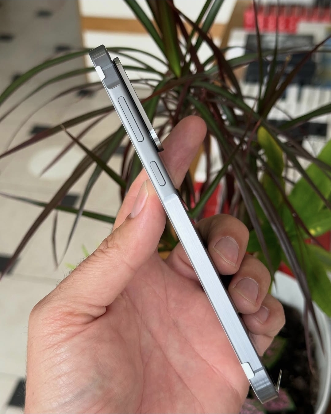 Samsung Galaxy A56 5G sellados Foto 7278701-2.jpg