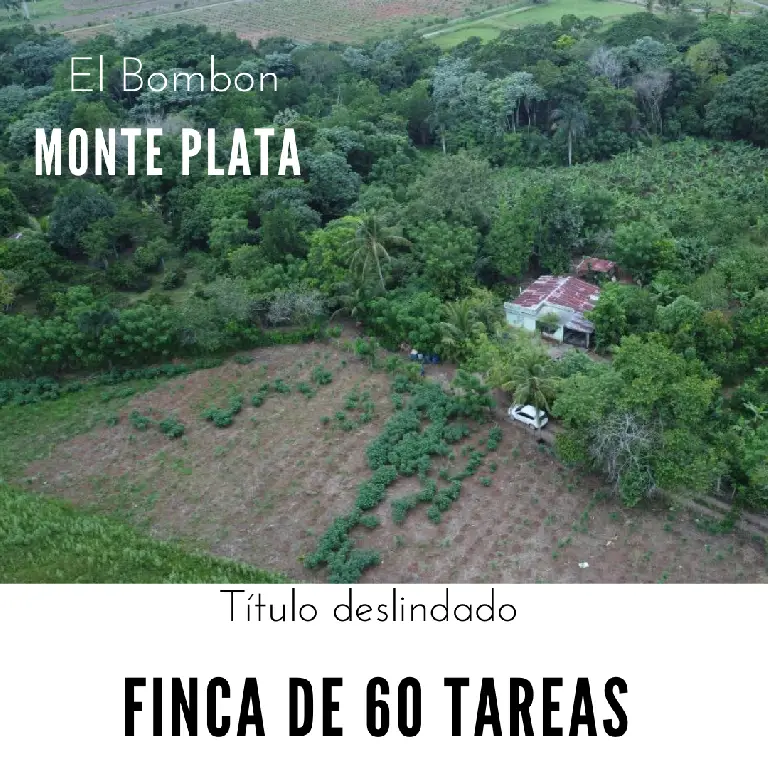 Finca de 60 tareas agrícolas con casa campestre Foto 7278855-1.jpg