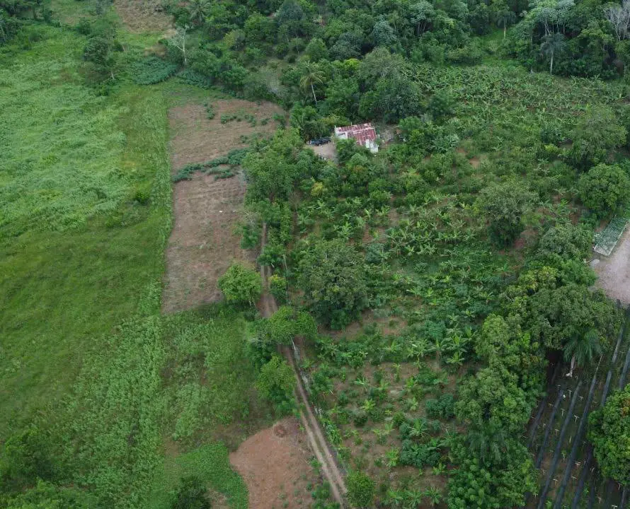 Finca de 60 tareas agrícolas con casa campestre Foto 7278855-2.jpg