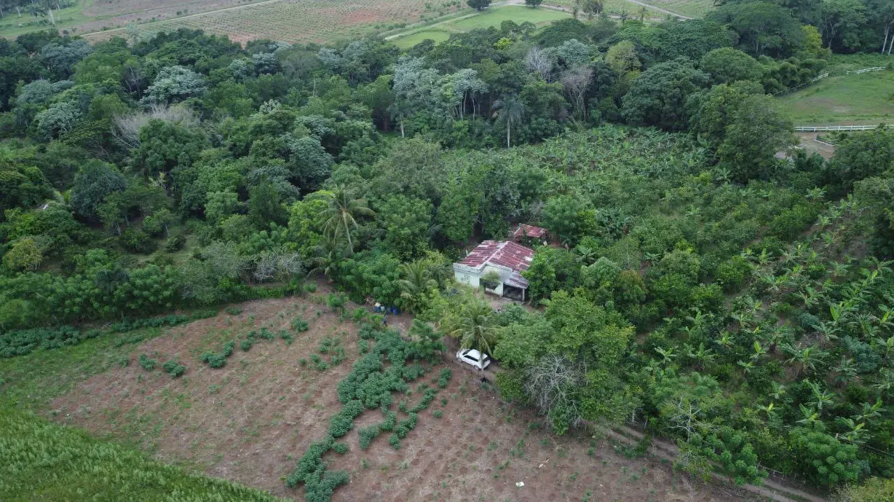 Finca de 60 tareas agrícolas con casa campestre Foto 7278855-3.jpg
