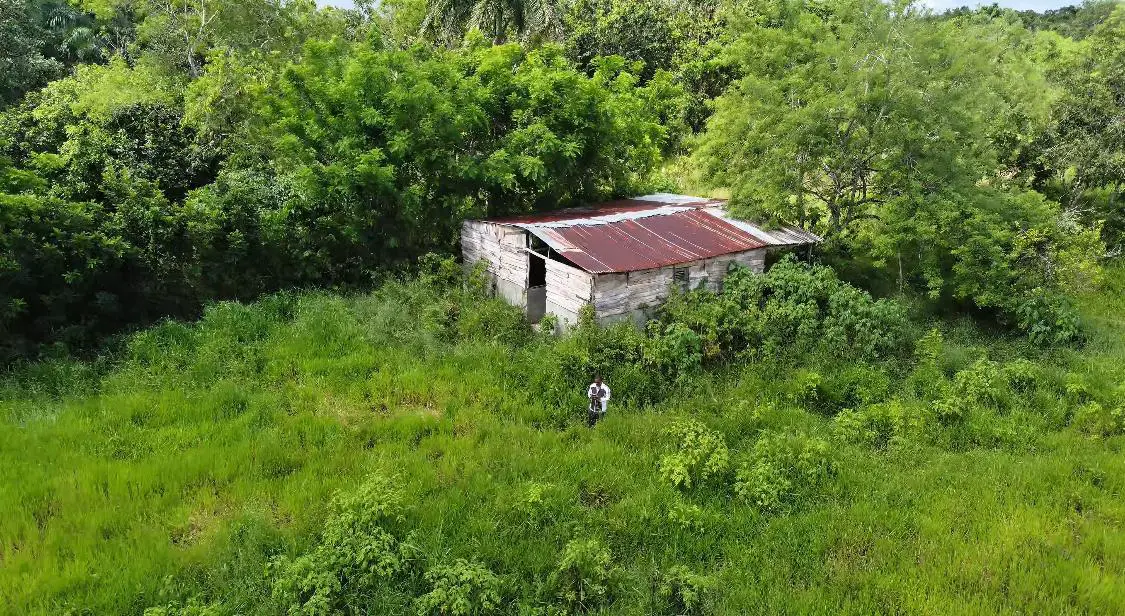 Finca de 106 tareas con vocación Agrícola y Ganadera en Sabana Grande  Foto 7279152-3.jpg