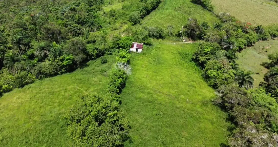 Finca de 106 tareas con vocación Agrícola y Ganadera en Sabana Grande  Foto 7279152-4.jpg