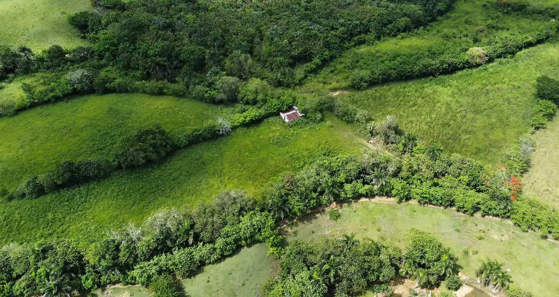 Finca de 106 tareas con vocación Agrícola y Ganadera en Sabana Grande  Foto 7279152-5.jpg
