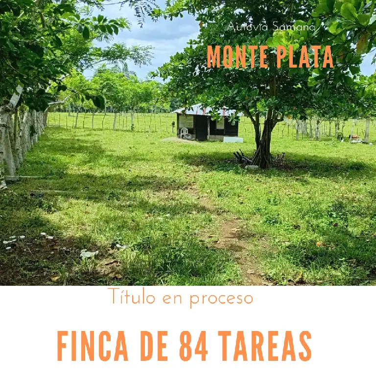 Finca de 84 tareas con vocación Agrícola y Ganadera en Monte plata  Foto 7279570-1.jpg