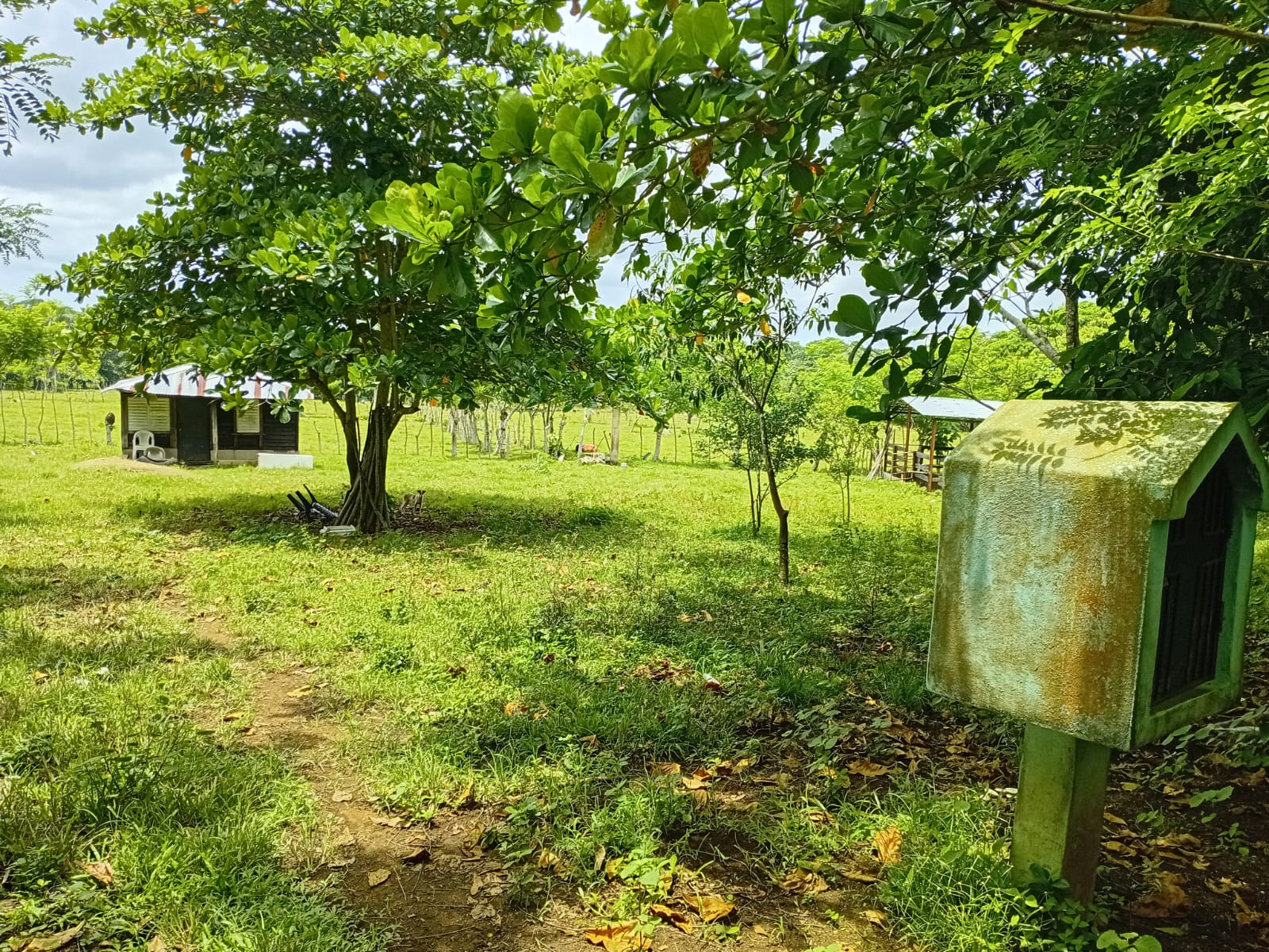 Finca de 84 tareas con vocación Agrícola y Ganadera en Monte plata  Foto 7279570-3.jpg
