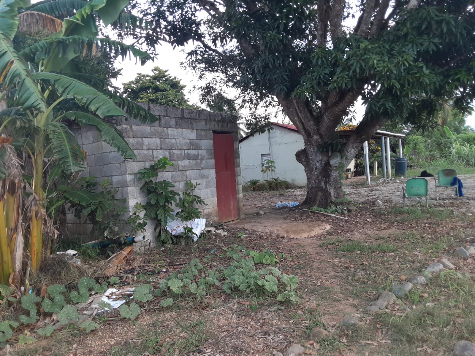 Finca de 96 tareas con invernadero en Monte plata Foto 7279739-2.jpg