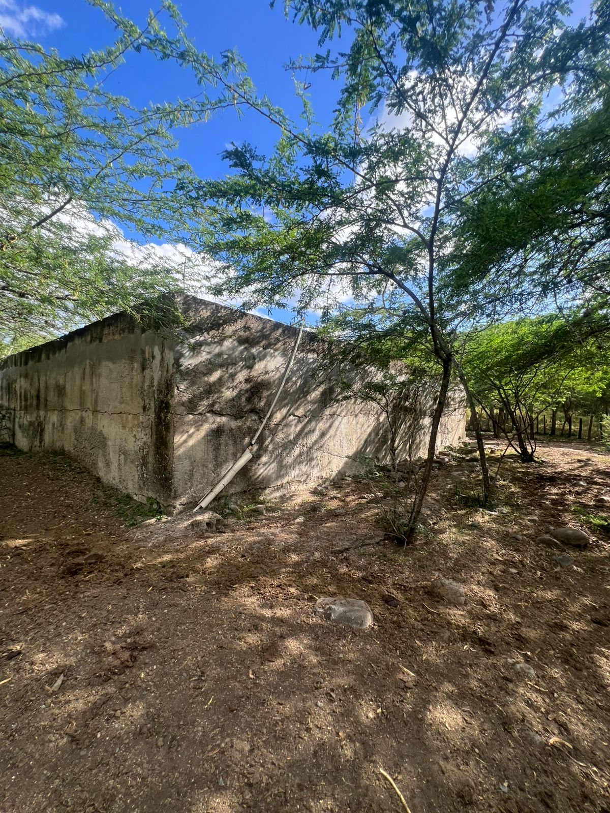 Oportunidad finca de 1944 tareas Eco-turísticas en Sajoma  Foto 7280318-10.jpg