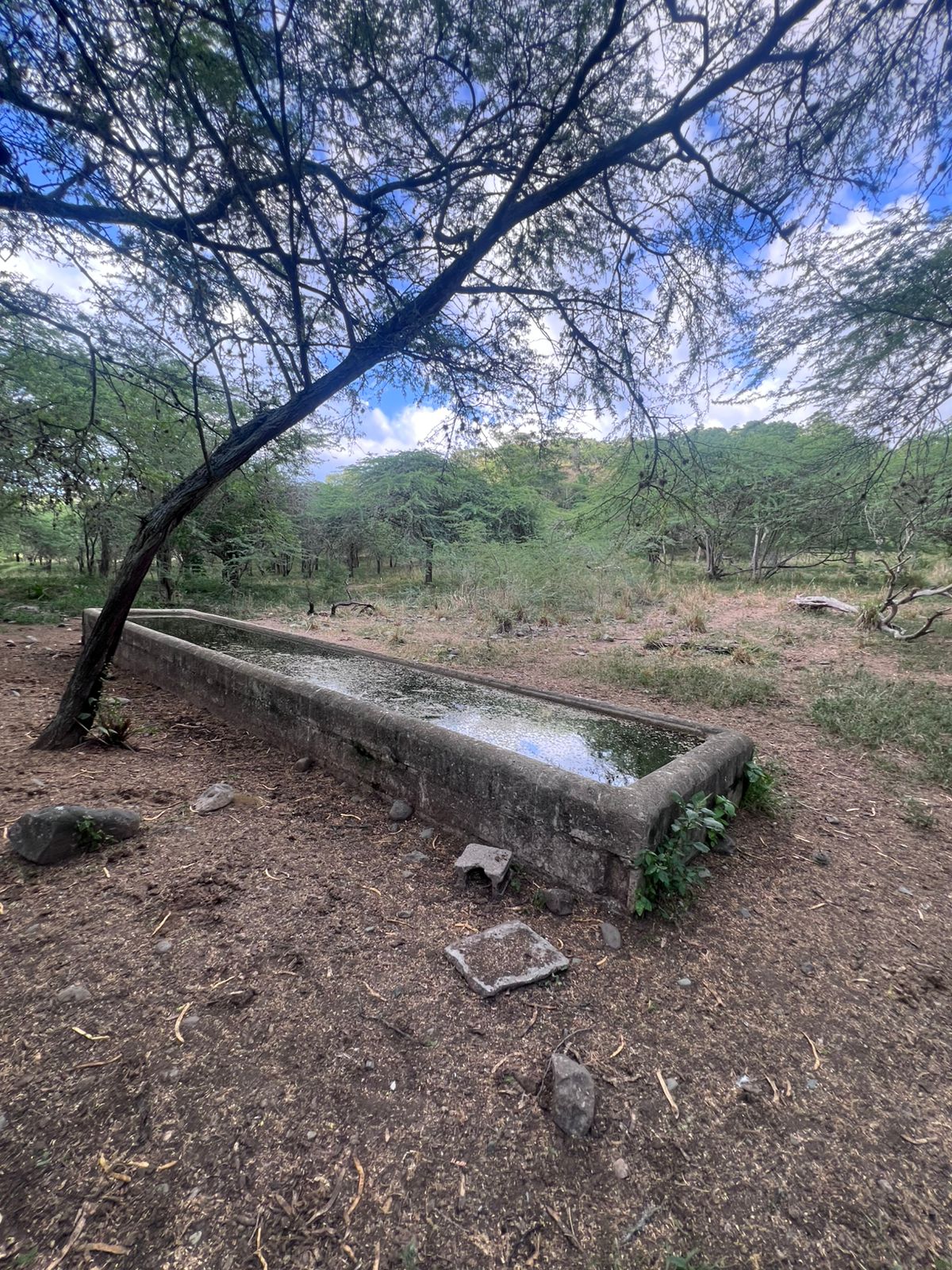 Oportunidad finca de 1944 tareas Eco-turísticas en Sajoma  Foto 7280318-2.jpg