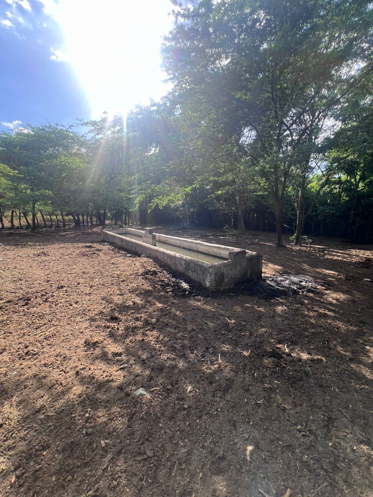 Oportunidad finca de 1944 tareas Eco-turísticas en Sajoma  Foto 7280318-3.jpg