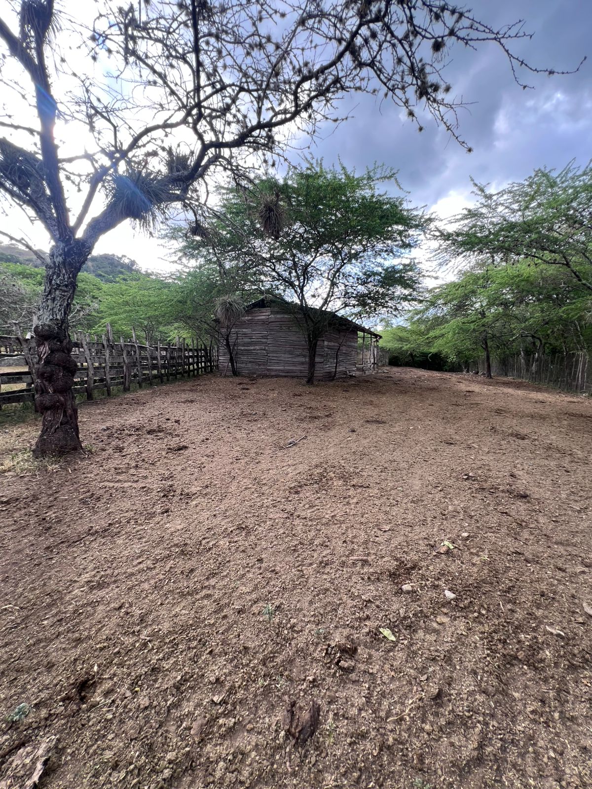 Oportunidad finca de 1944 tareas Eco-turísticas en Sajoma  Foto 7280318-6.jpg