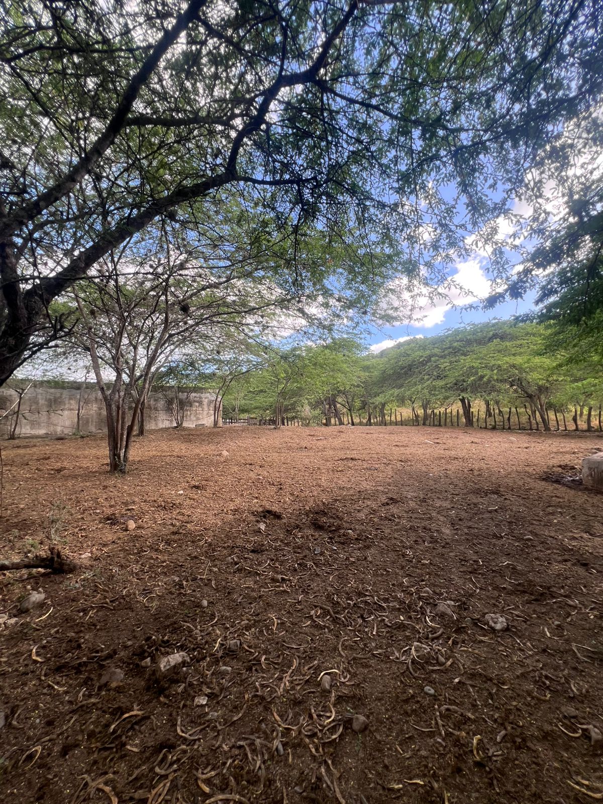 Oportunidad finca de 1944 tareas Eco-turísticas en Sajoma  Foto 7280318-8.jpg