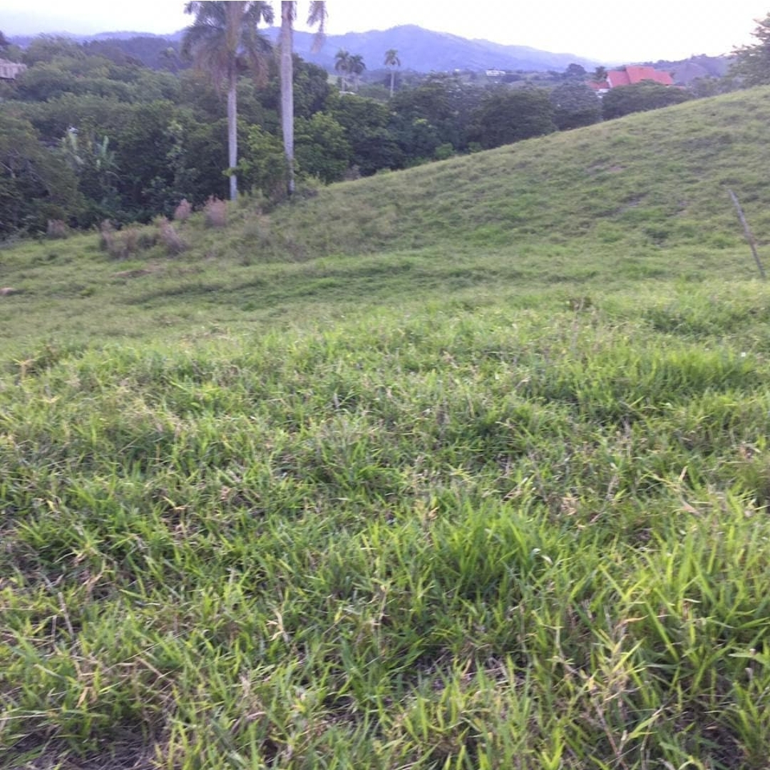 Terreno de 10046 Mts2 16tareas ideal para cabaña o casa campestre en J Foto 7280349-4.jpg