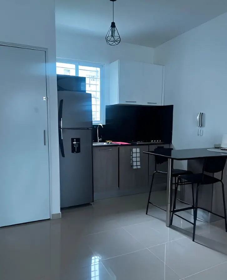 Apartamento Amueblado en Renta – Los Álamos Santiago Foto 7280693-3.jpg