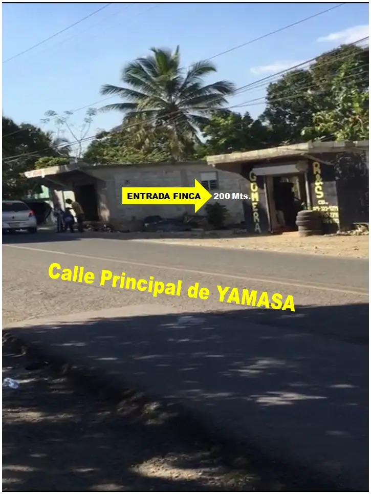 SE VENDE FINCA 253 TAREAS EN EL KM.  35 DE YAMASA SUPER REBAJADA OPORT Foto 7280918-2.jpg