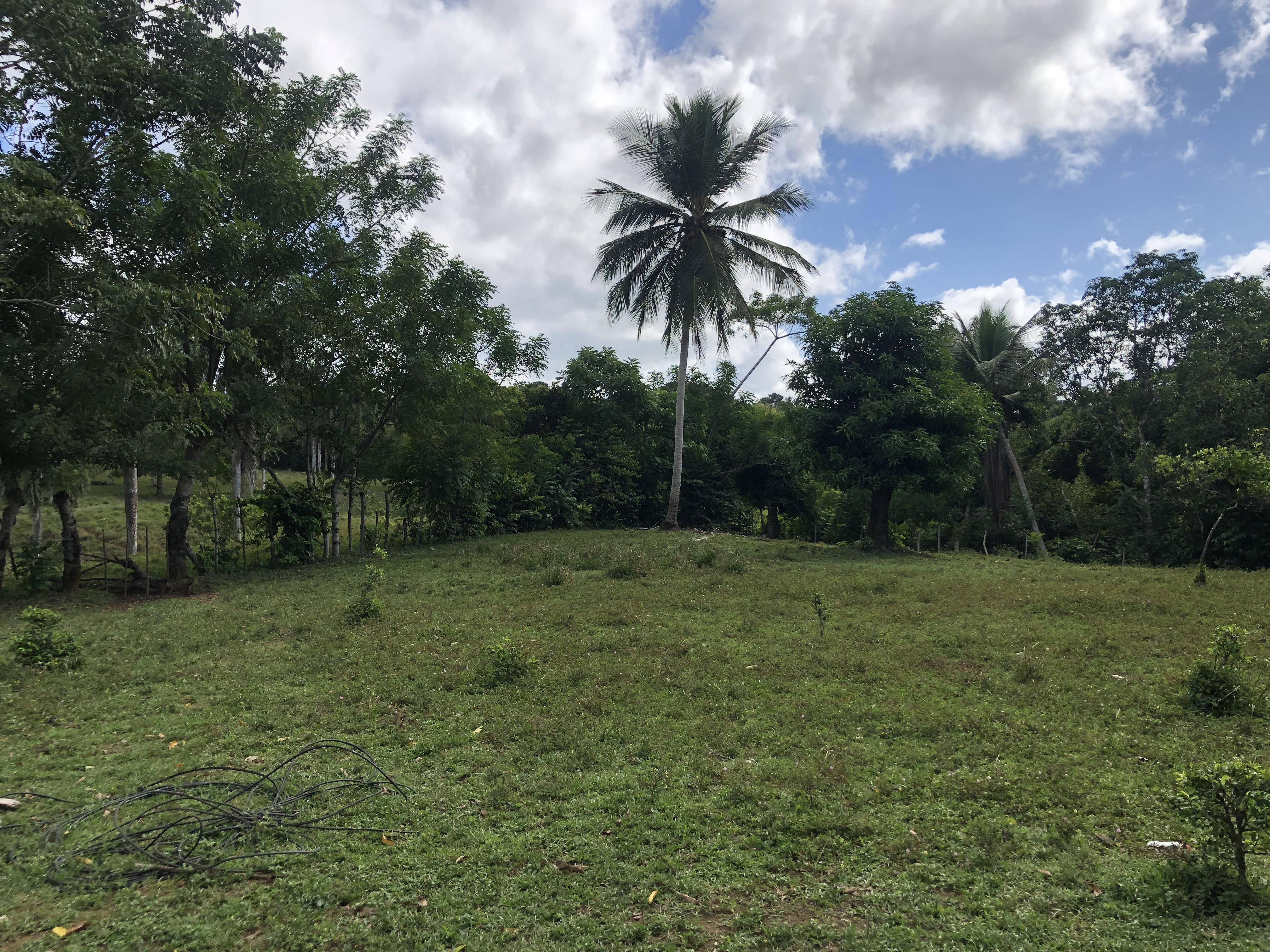 SE VENDE FINCA 253 TAREAS EN EL KM.  35 DE YAMASA SUPER REBAJADA OPORT Foto 7280918-5.jpg