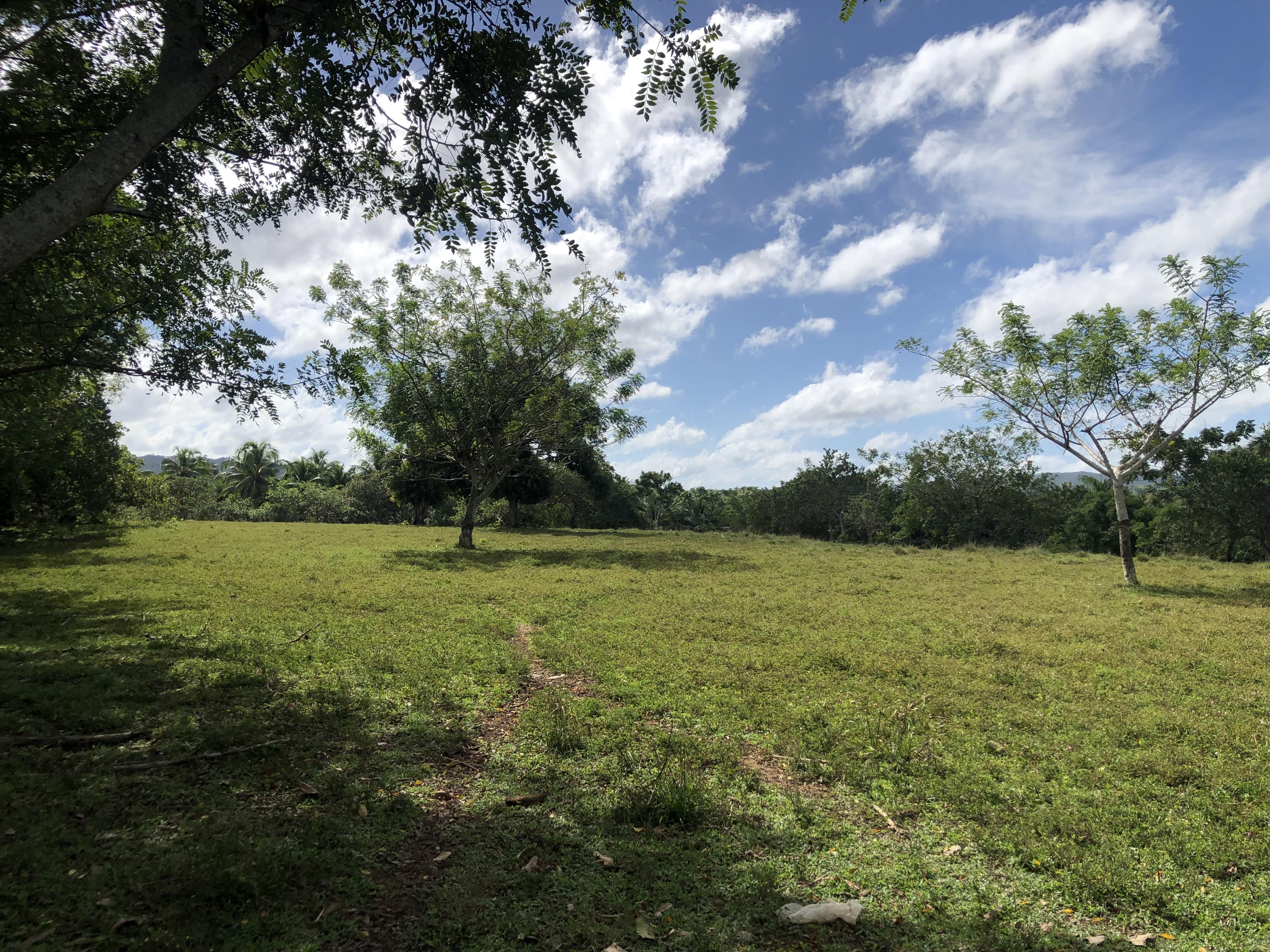 SE VENDE FINCA 253 TAREAS EN EL KM.  35 DE YAMASA SUPER REBAJADA OPORT Foto 7280918-9.jpg
