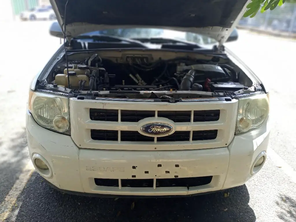 FORD ESCAPE HYBRID 2009 Foto 7280926-4.jpg