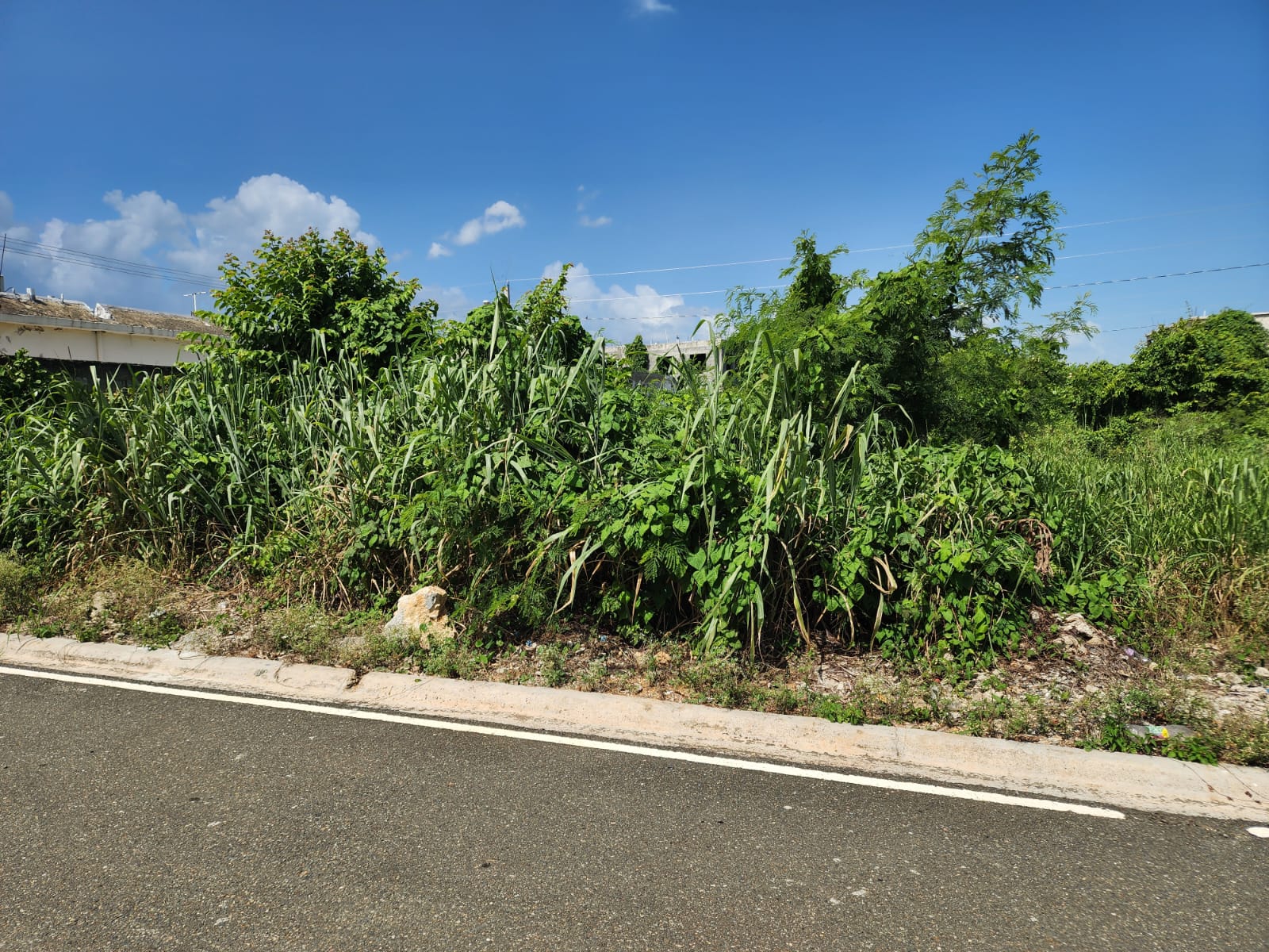 Marginal Las Américas AV. Ecológica Proyecto cerrado Foto 7281594-4.jpg