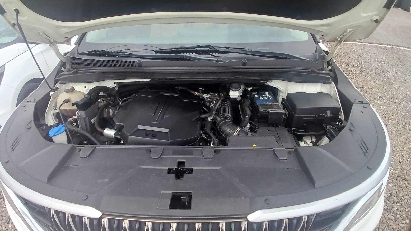 KIA CARNIVAL 2021 en La Altagracia Foto 7281798-8.jpg
