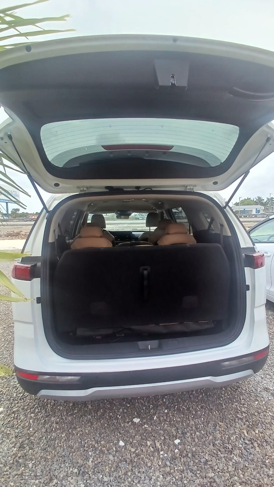 KIA CARNIVAL 2021 en La Altagracia Foto 7281798-9.jpg