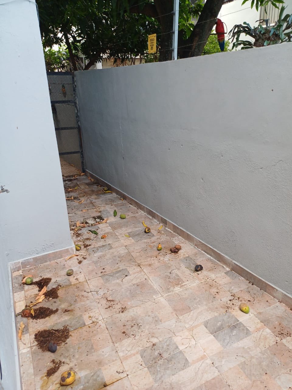 VPI-A 2025-0070 Rento apartamento Villa Olga Santiago República Domini Foto 7282636-8.jpg