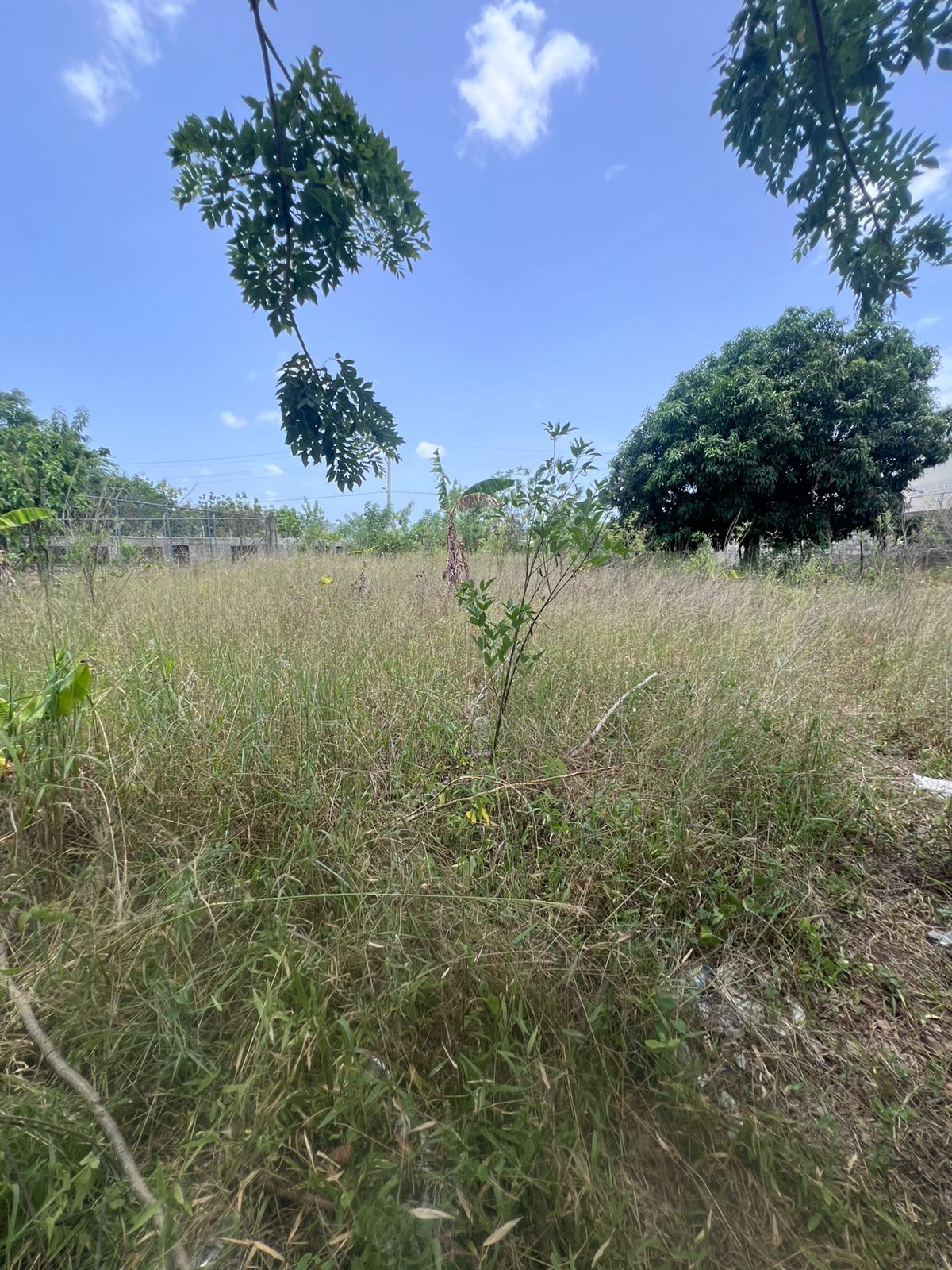 ???? Venta de 2 Solares en Urbanización Brisas del Valle Las Charcas S Foto 7283073-3.jpg