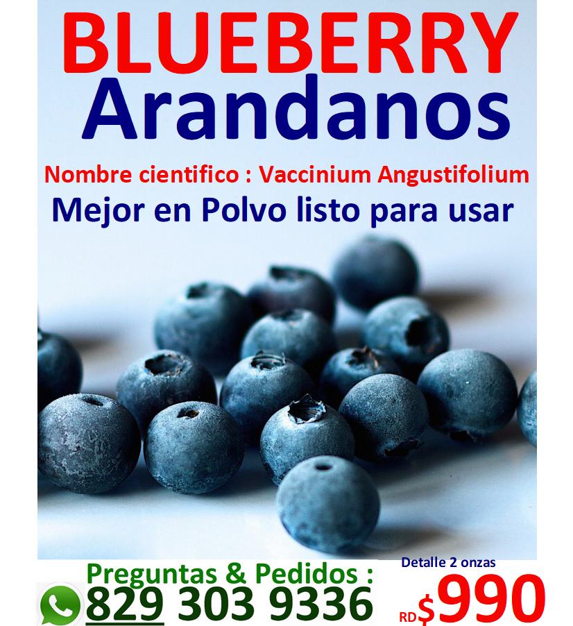 Arandanos blueberry todo tipo de frustas secas y silvestres polvos y s Foto 7283918-2.jpg