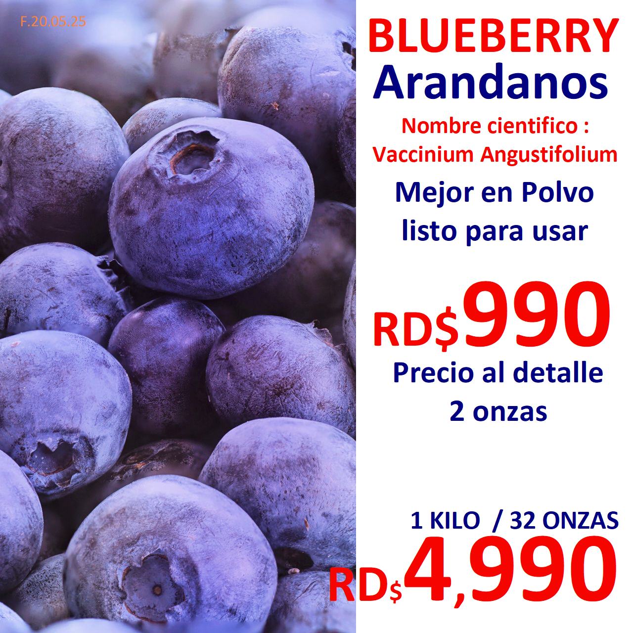Arandanos blueberry todo tipo de frustas secas y silvestres polvos y s Foto 7283918-3.jpg