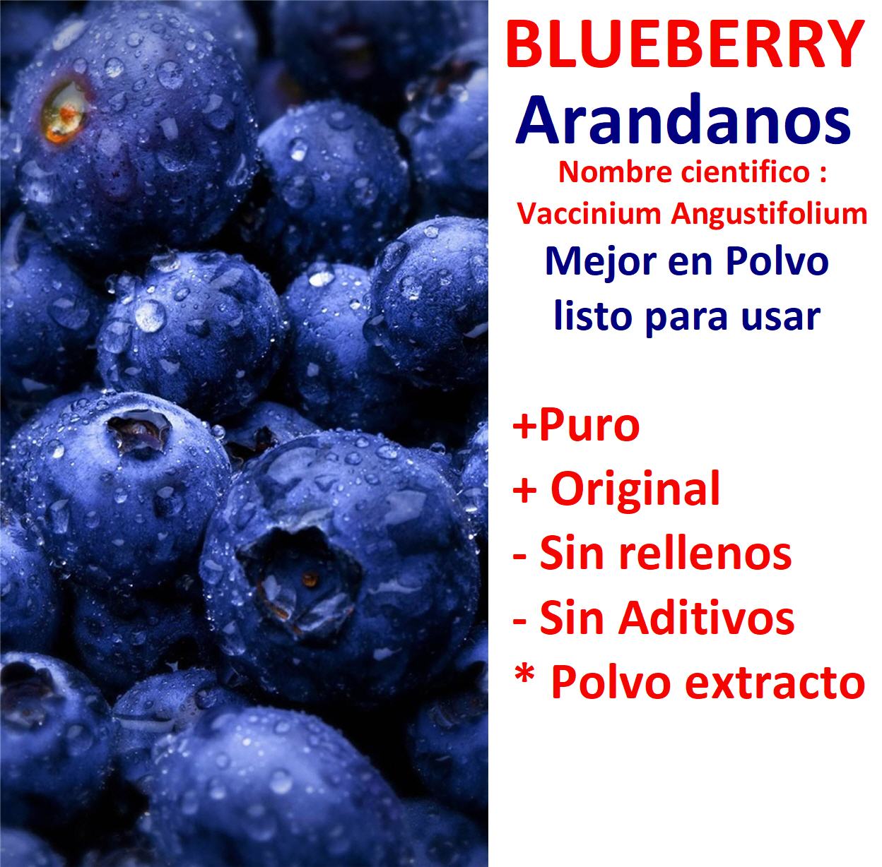 Arandanos blueberry todo tipo de frustas secas y silvestres polvos y s Foto 7283918-4.jpg