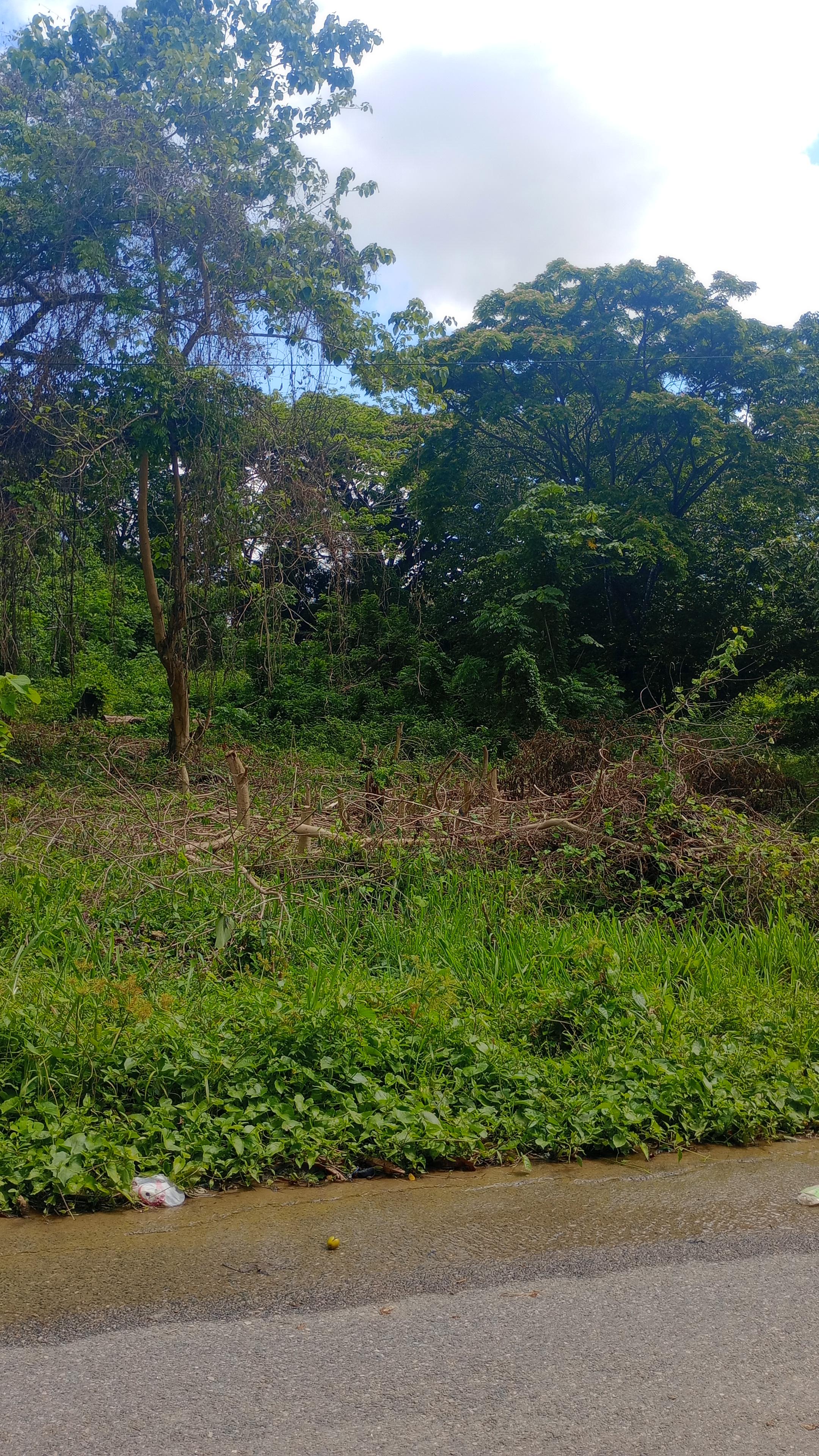 Se vende Terreno en San Cristóbal 2045 MTS próximo a la autopista 6 de Foto 7284517-2.jpg