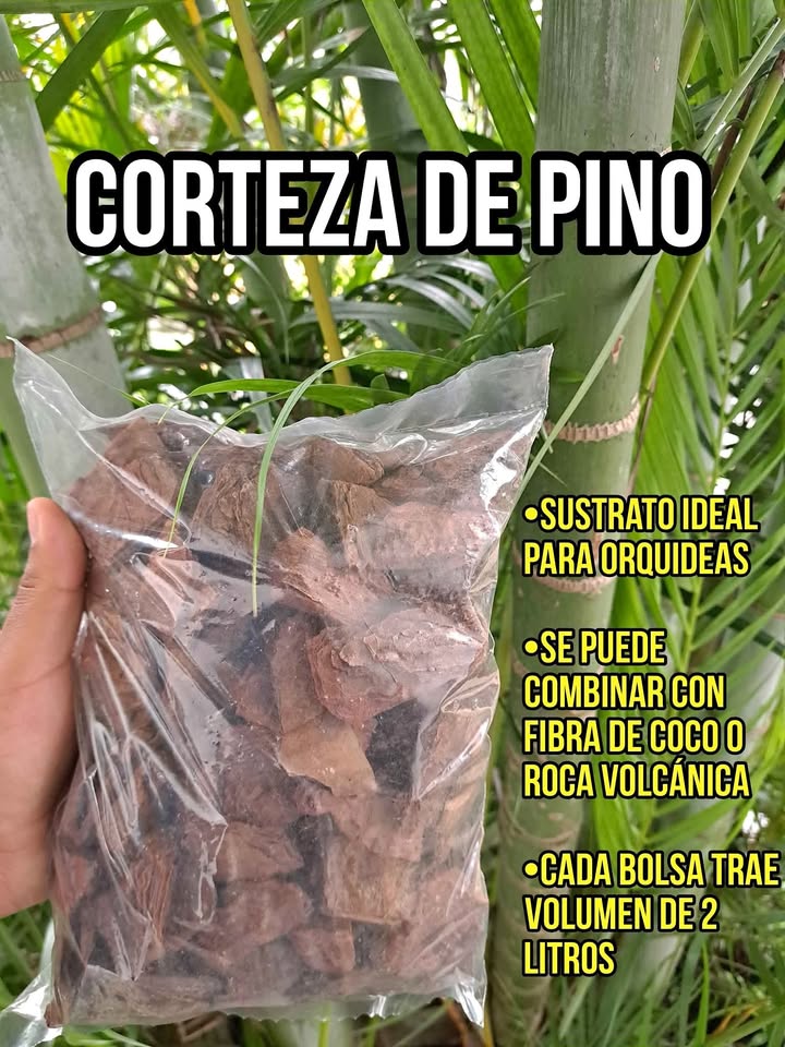 Corteza de Pino para Plantas  Foto 7284581-2.jpg