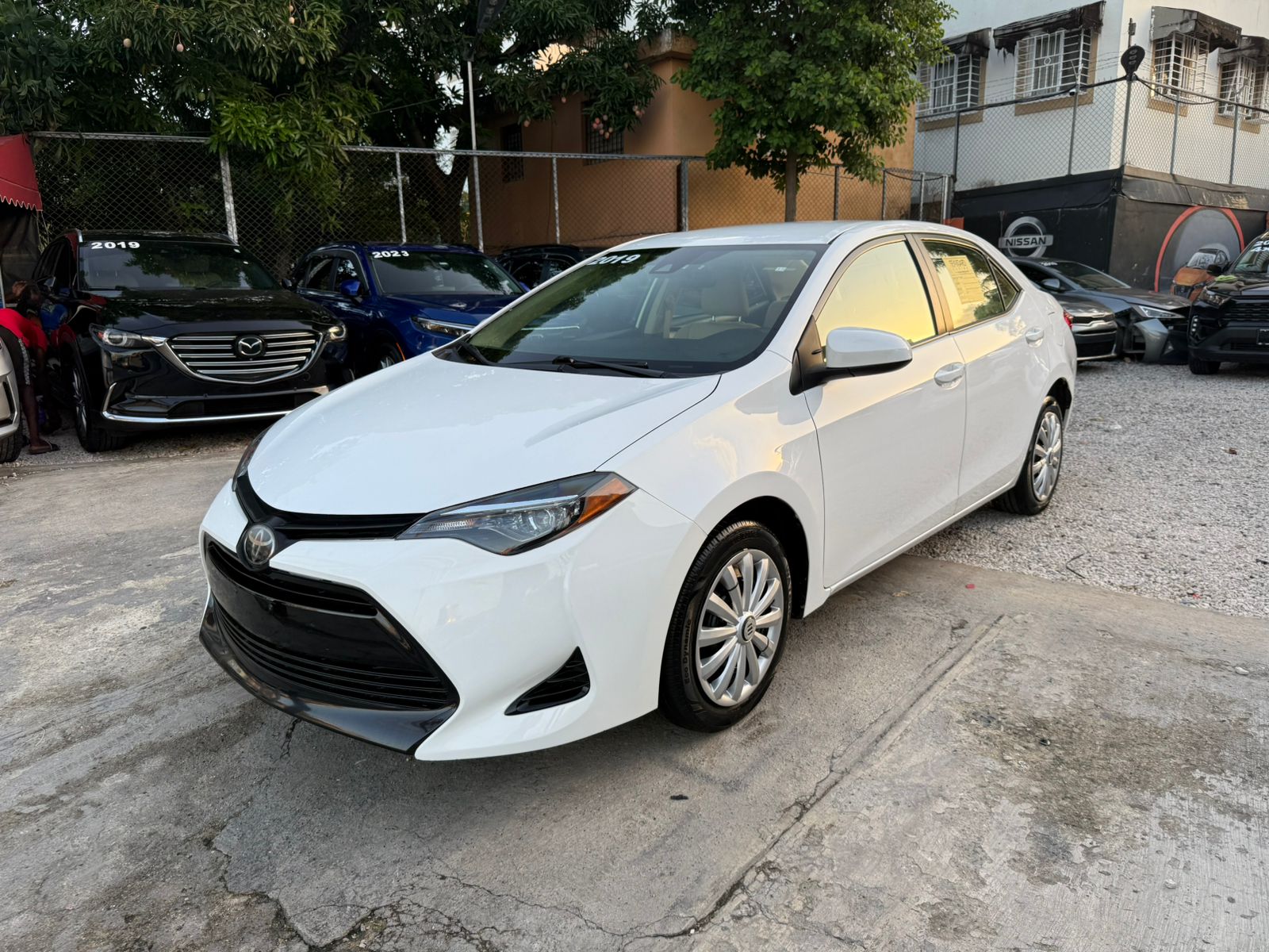 Toyota Corolla LE 2019 Foto 7285072-2.jpg