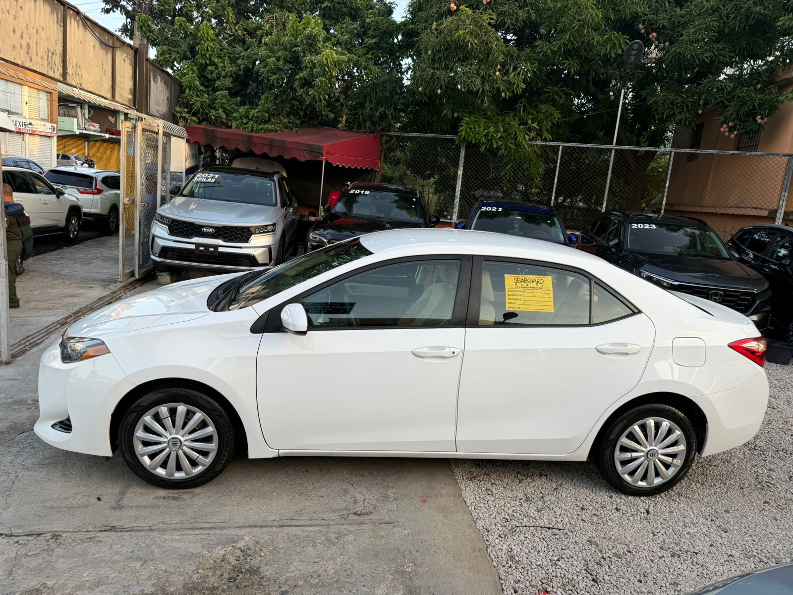 Toyota Corolla LE 2019 Foto 7285072-3.jpg