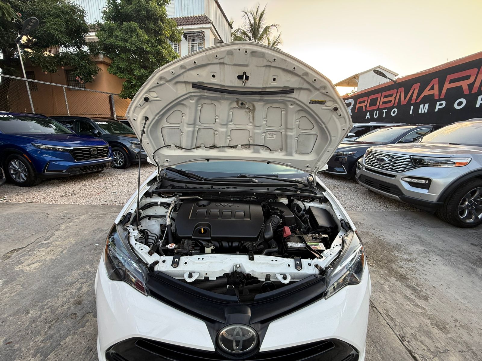 Toyota Corolla LE 2019 Foto 7285072-7.jpg