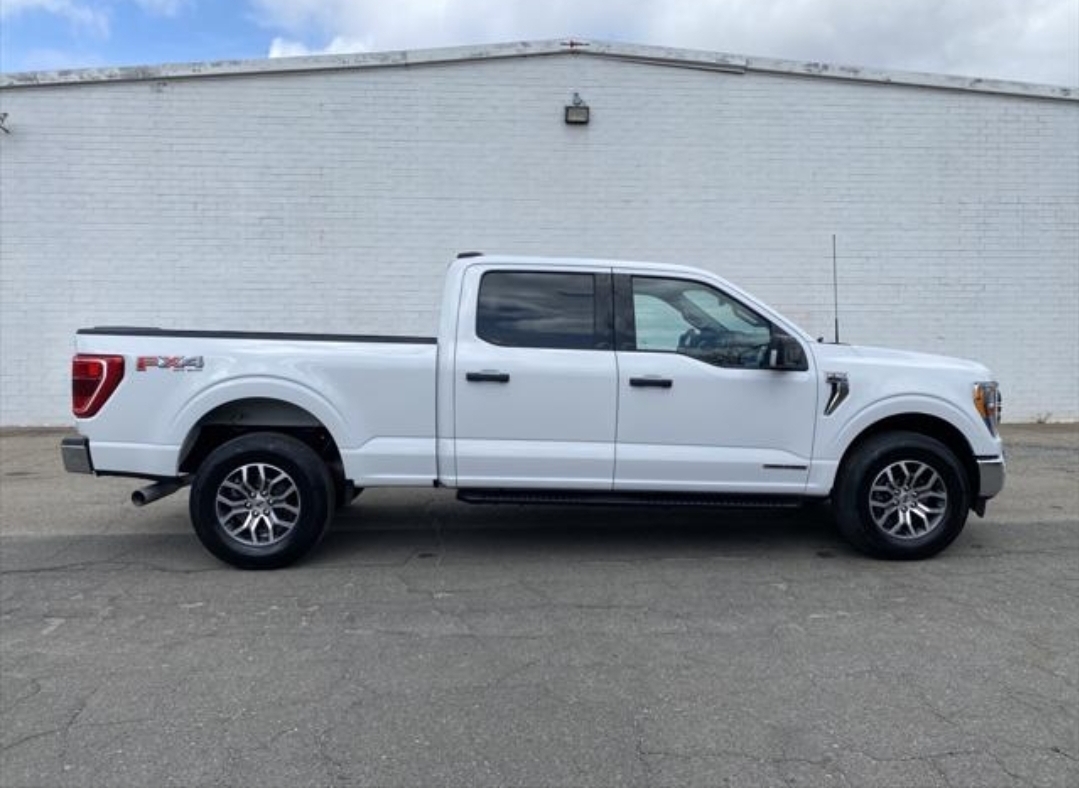Ford F-150 XLT  Foto 7285214-3.jpg