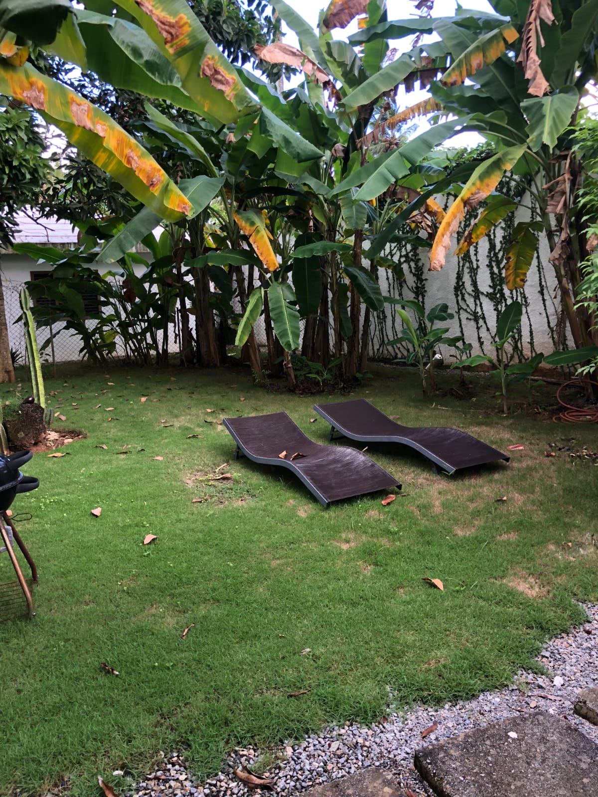 EN VENTA NEGOCIO TURISTICO-BUNGALOS- LAS TERRENAS SAMANA Foto 7285338-3.jpg