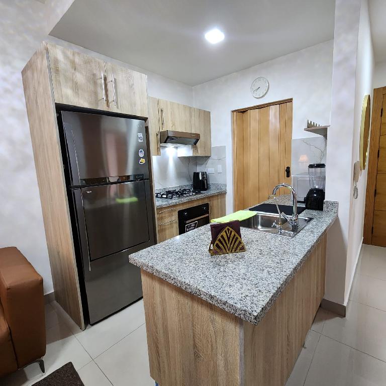 Moderno apartamento amueblado de 1 habitación en gazcue Foto 7286154-3.jpg