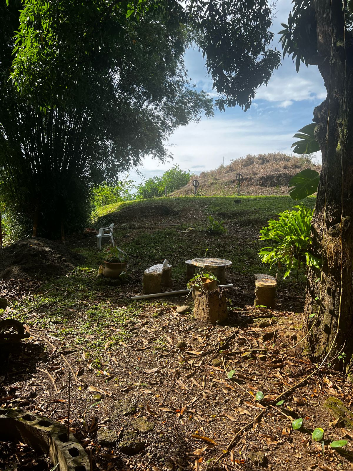 Finca de 350 tareas con Casa campestre y sembradas de limón en Bonao Foto 7286701-5.jpg