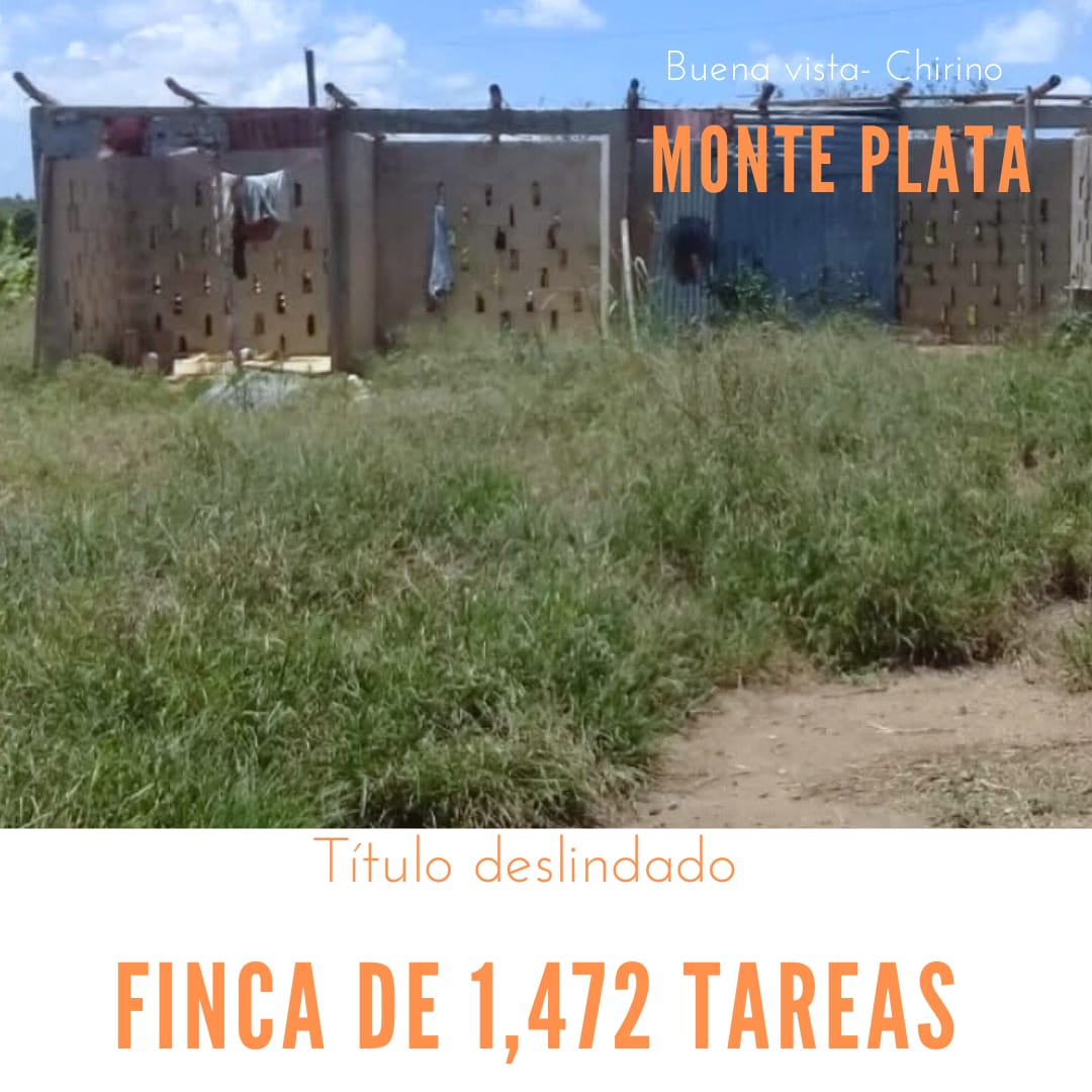 Finca de 1472 tareas con vocación Agrícola y ganadera en Monte Plata Foto 7286717-1.jpg