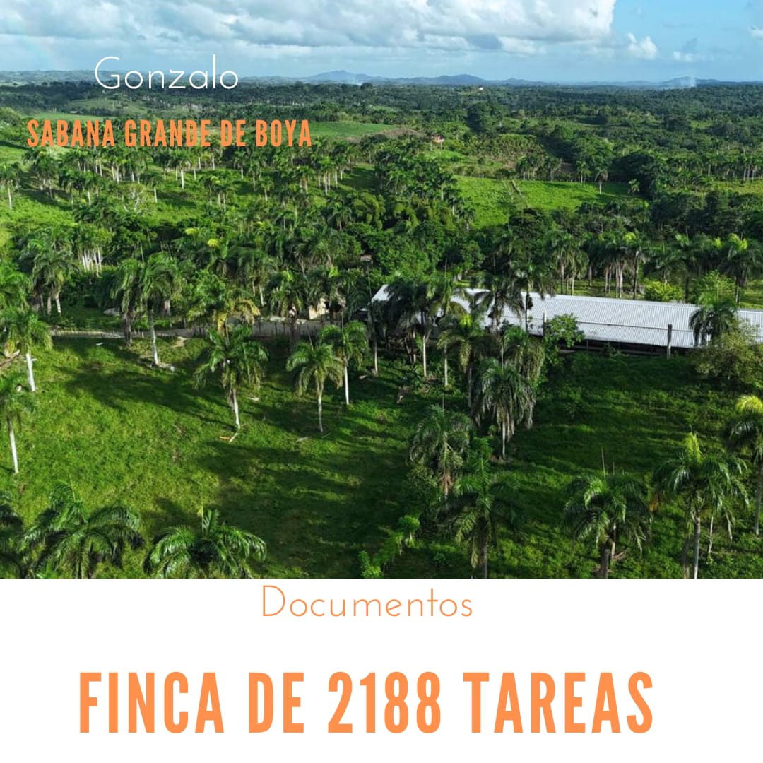 Finca de 2188 tareas de tierra con vocación agrícola y ganadera ideal  Foto 7286727-1.jpg