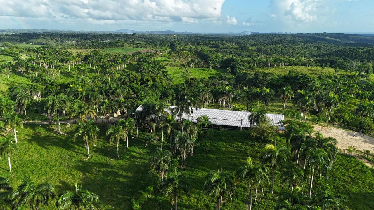Finca de 2188 tareas de tierra con vocación agrícola y ganadera ideal  Foto 7286727-2.jpg