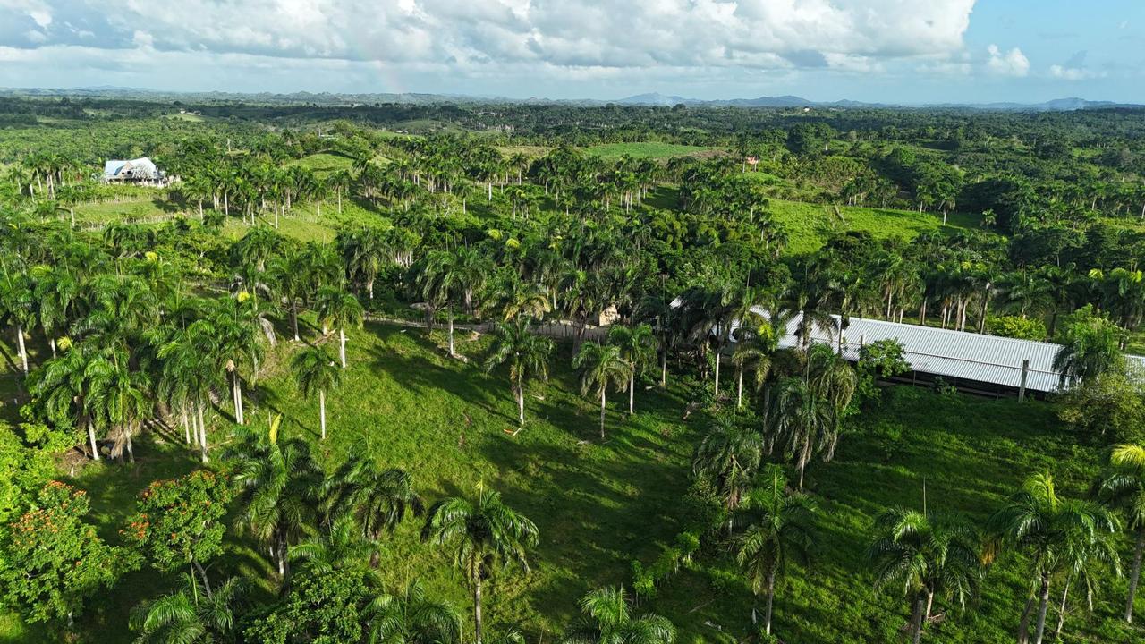 Finca de 2188 tareas de tierra con vocación agrícola y ganadera ideal  Foto 7286727-3.jpg