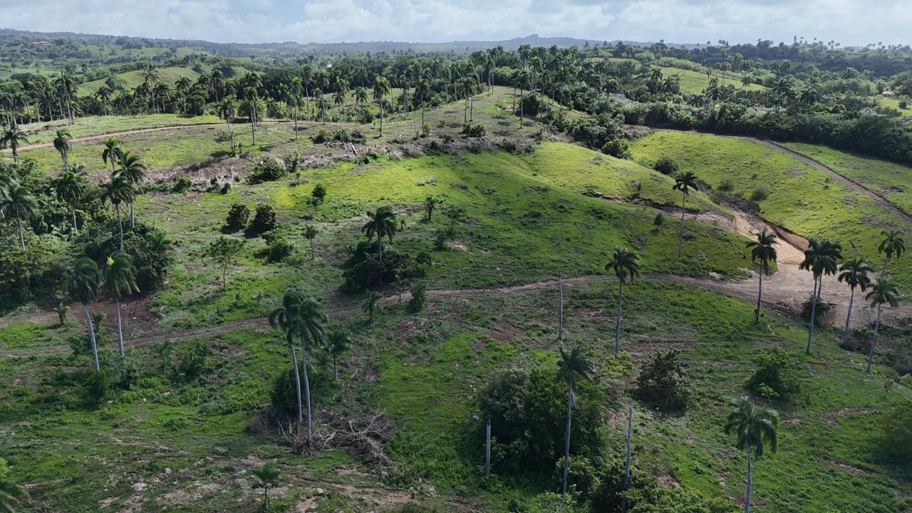 Finca de 2188 tareas de tierra con vocación agrícola y ganadera ideal  Foto 7286727-5.jpg